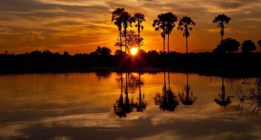 Delta de l'Okavango