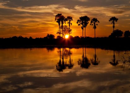 Delta de l'Okavango