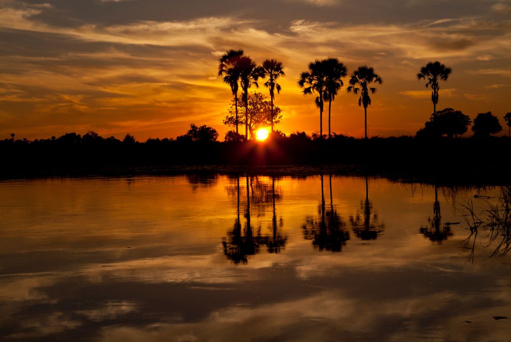 Delta de l'Okavango